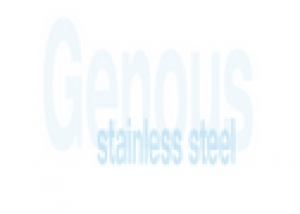Genous Stainless Steel